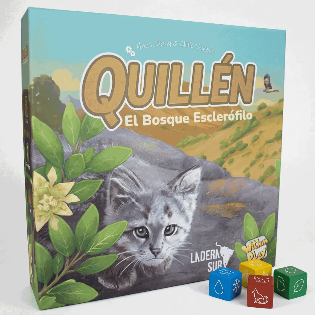 Quillén: El bosque esclerófilo